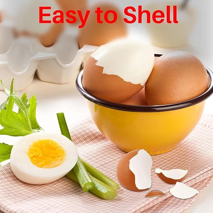 Egg Boiler